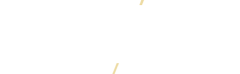 The image displays the word "ELEVATE" in large white letters with the phrase "TWENTY THREE" beneath it, all set against a green background.